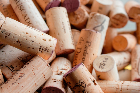 Mejores libros sobre Vino