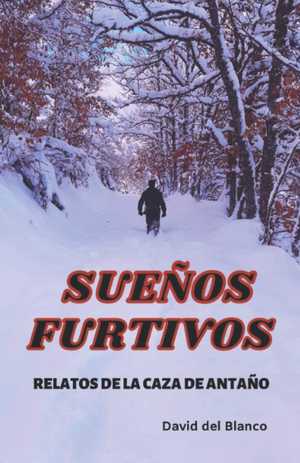 Sueños furtivos