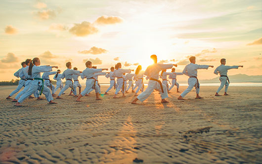 Los mejores libros de artes marciales