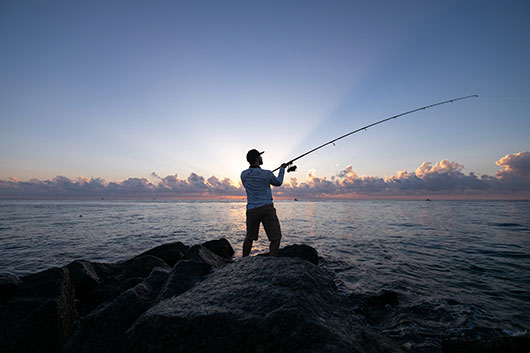 Los mejores libros de pesca