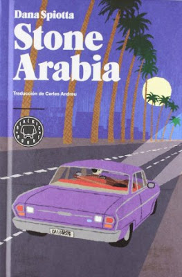 Stone Arabia de Dana Spiotta | Resumen + Opinión
