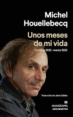 Unos meses de mi vida de Michel Houellebecq | Resumen + Opinión