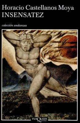 Insensatez de Horacio Castellanos Moya | Resumen + Opinión