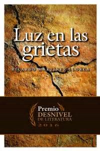 Luz en las grietas de Ricardo Martínez Llorca | Resumen + Opinión